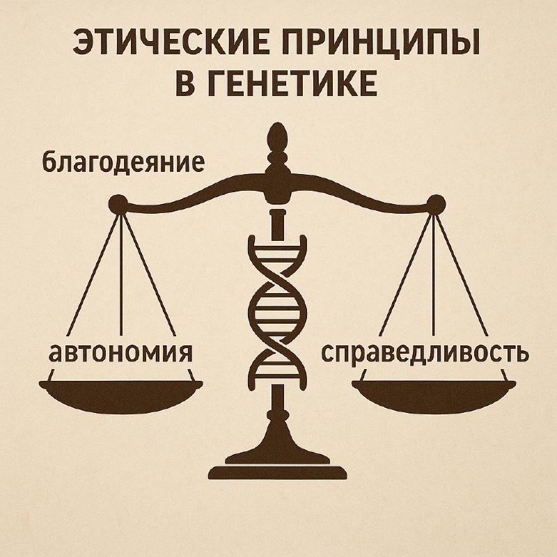 Схема этических принципов в генетике в виде весов